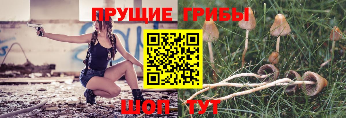 Псилоцибиновые грибы Psilocybine cubensis Егорьевск