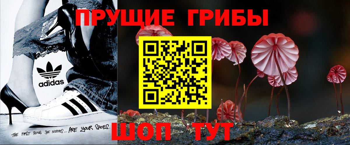 Егорьевск  Галлюциногенные грибы мицелий  Вход с VPN  Галлюциногенные грибы GOLDEN TEACHER 